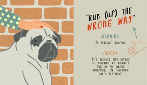 10 bizarre English sayings and what they mean [infographic]